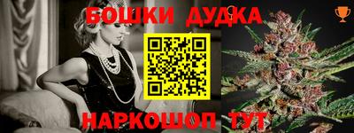 крисы Бийск