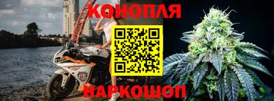 крисы Бийск