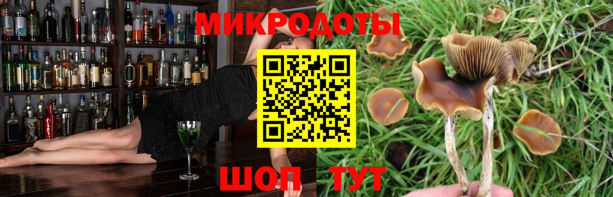 Жигулёвск  Галлюциногенные грибы Psilocybine cubensis  где продают наркотики  Галлюциногенные грибы Cubensis  Вход с VPN 